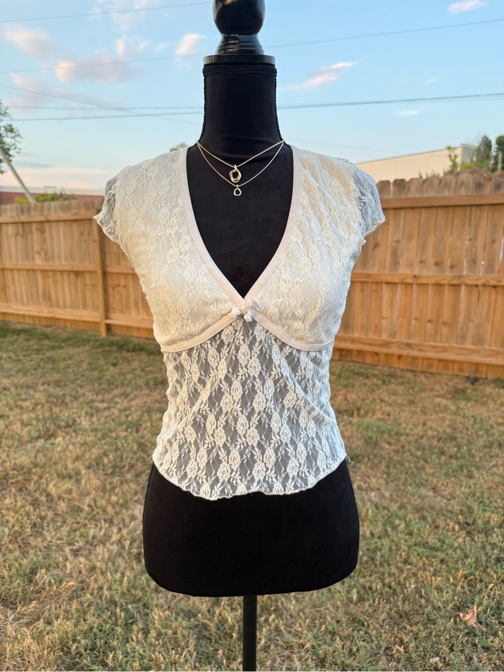 Sheer Lace V-Neck Crop Top in Ivory